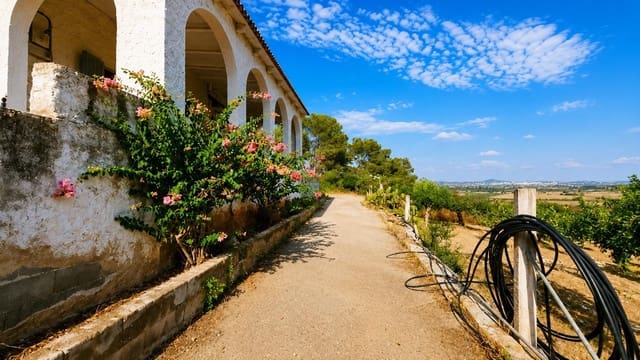 Finca/Casa Rural de 2 habitaciones en Algaida en venta - 1.065.000 € (Ref: 10027428)