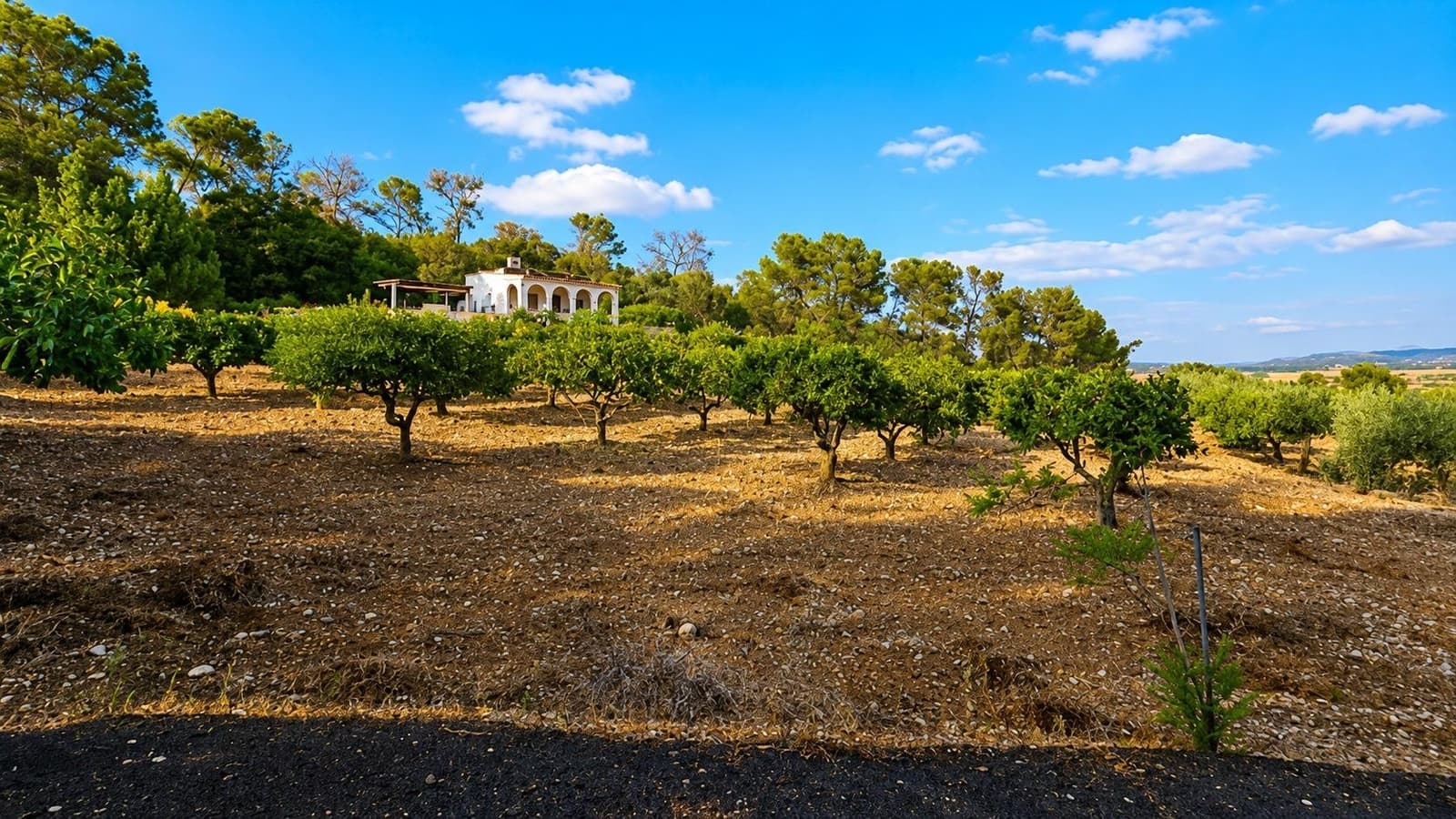 Finca/Casa Rural de 2 habitaciones en Algaida en venta - 1.065.000 € (Ref: 10027428)
