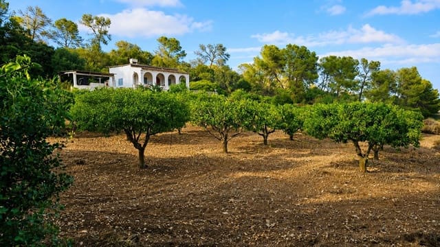 Finca/Casa Rural de 2 habitaciones en Algaida en venta - 1.065.000 € (Ref: 10027428)