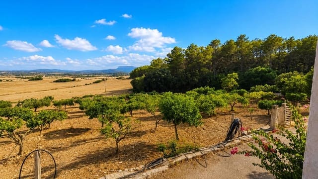 Finca/Casa Rural de 2 habitaciones en Algaida en venta - 1.065.000 € (Ref: 10027428)