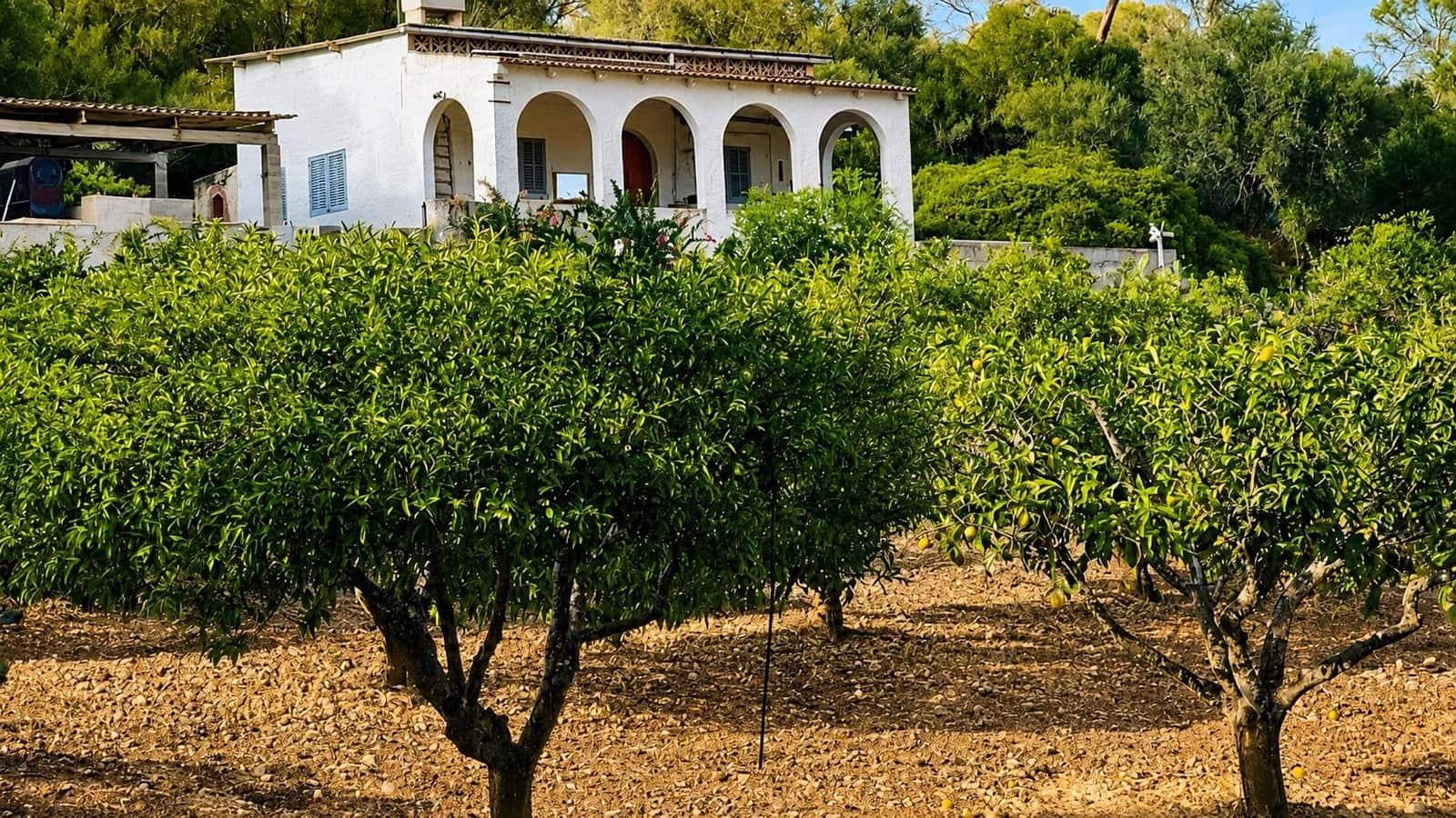 Finca/Casa Rural de 2 habitaciones en Algaida en venta - 1.065.000 € (Ref: 10027428)