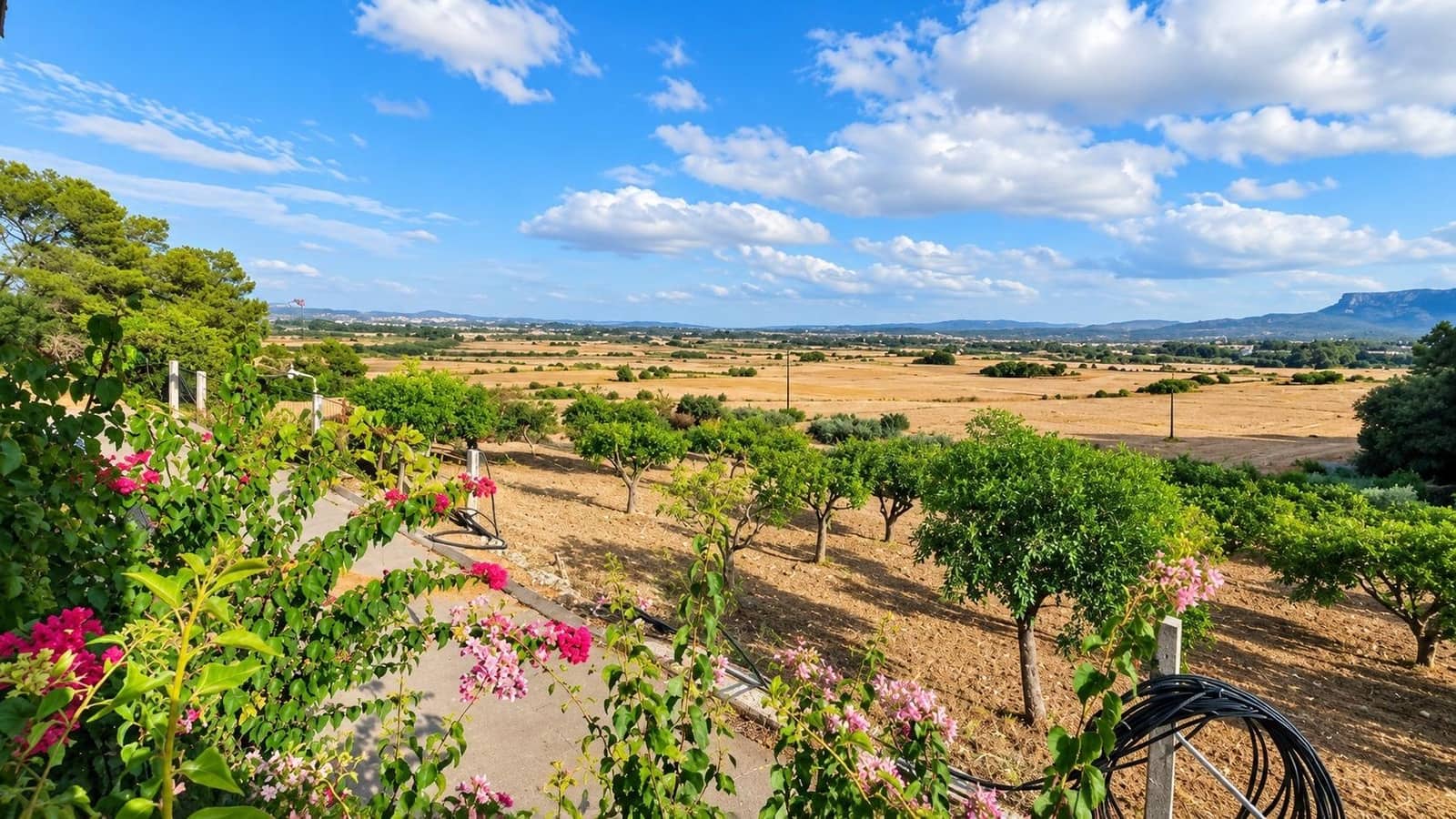 Finca/Casa Rural de 2 habitaciones en Algaida en venta - 1.065.000 € (Ref: 10027428)