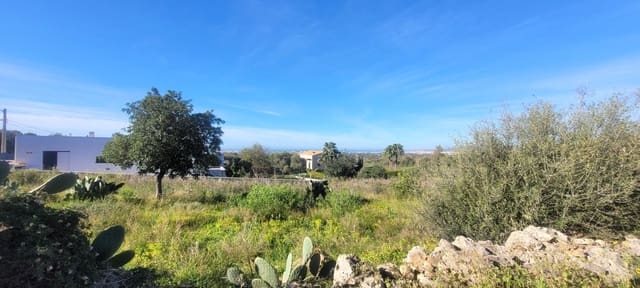 Bouwgrond te koop in Sa Cabaneta / La Cabaneta, Marratxí - € 700.000 (Ref: 4233493)