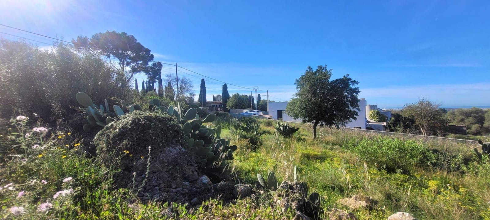 Bouwgrond te koop in Sa Cabaneta / La Cabaneta - € 700.000 (Ref: 4233493)