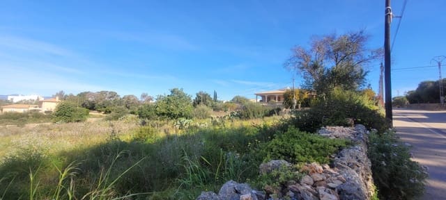 Bouwgrond te koop in Sa Cabaneta / La Cabaneta, Marratxí - € 700.000 (Ref: 4233493)