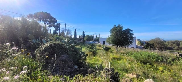 Bouwgrond te koop in Sa Cabaneta / La Cabaneta, Marratxí - € 700.000 (Ref: 4233493)