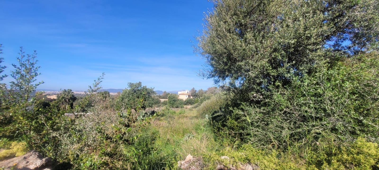 Bouwgrond te koop in Sa Cabaneta / La Cabaneta - € 700.000 (Ref: 4233493)