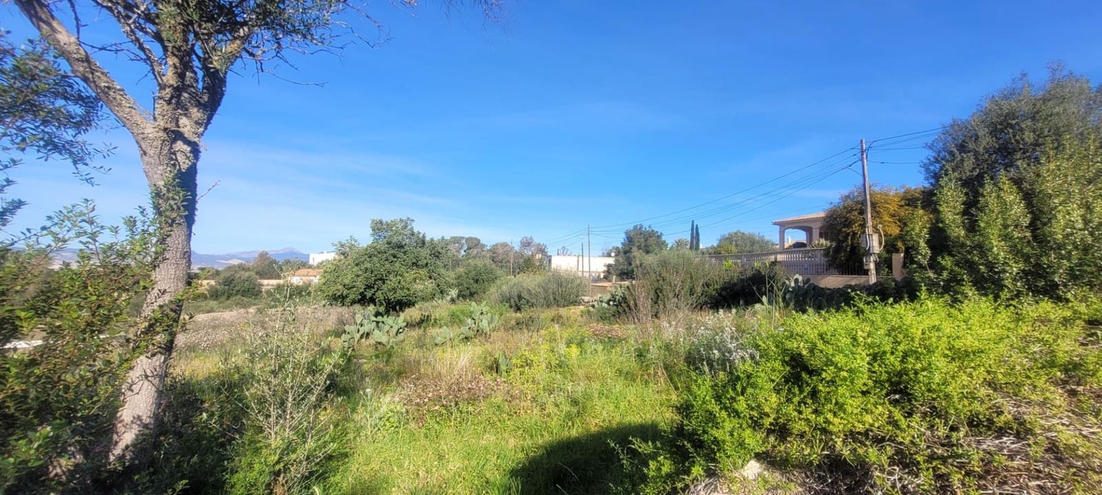 Area Edificabile in vendita in Sa Cabaneta / La Cabaneta - 700.000 € (Rif: 4233493)