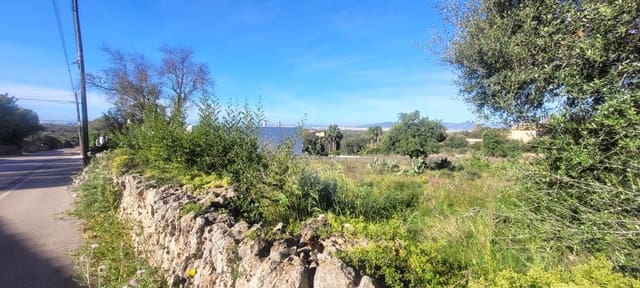 Działka budowlana na sprzedaż w Sa Cabaneta / La Cabaneta, Marratxí - 700 000 € (Ref: 4233493)