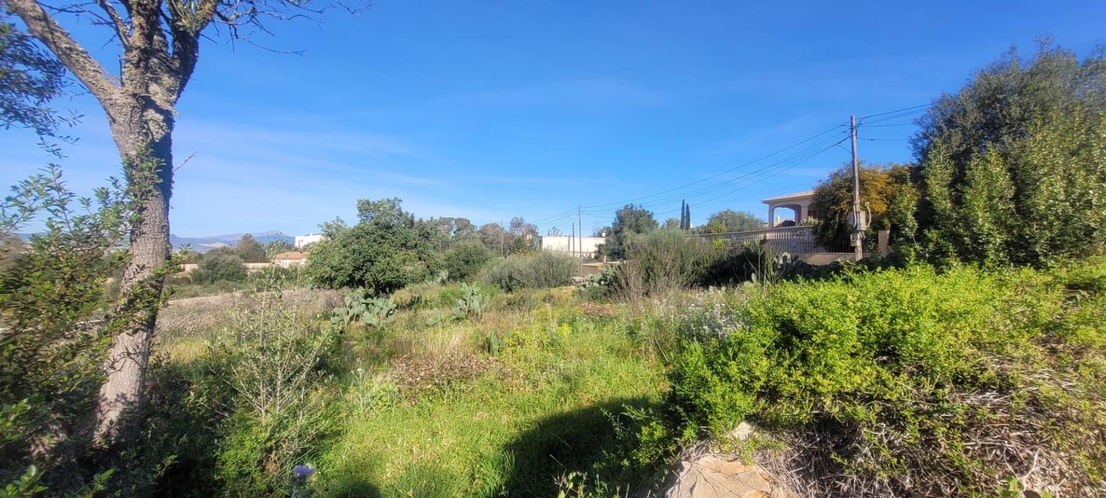 Area Edificabile in vendita in Sa Cabaneta / La Cabaneta - 700.000 € (Rif: 4233493)