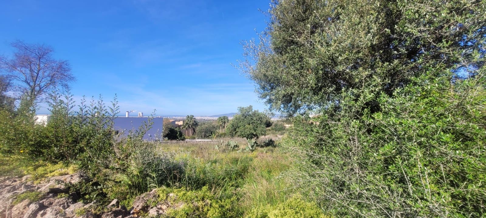 Area Edificabile in vendita in Sa Cabaneta / La Cabaneta - 700.000 € (Rif: 4233493)