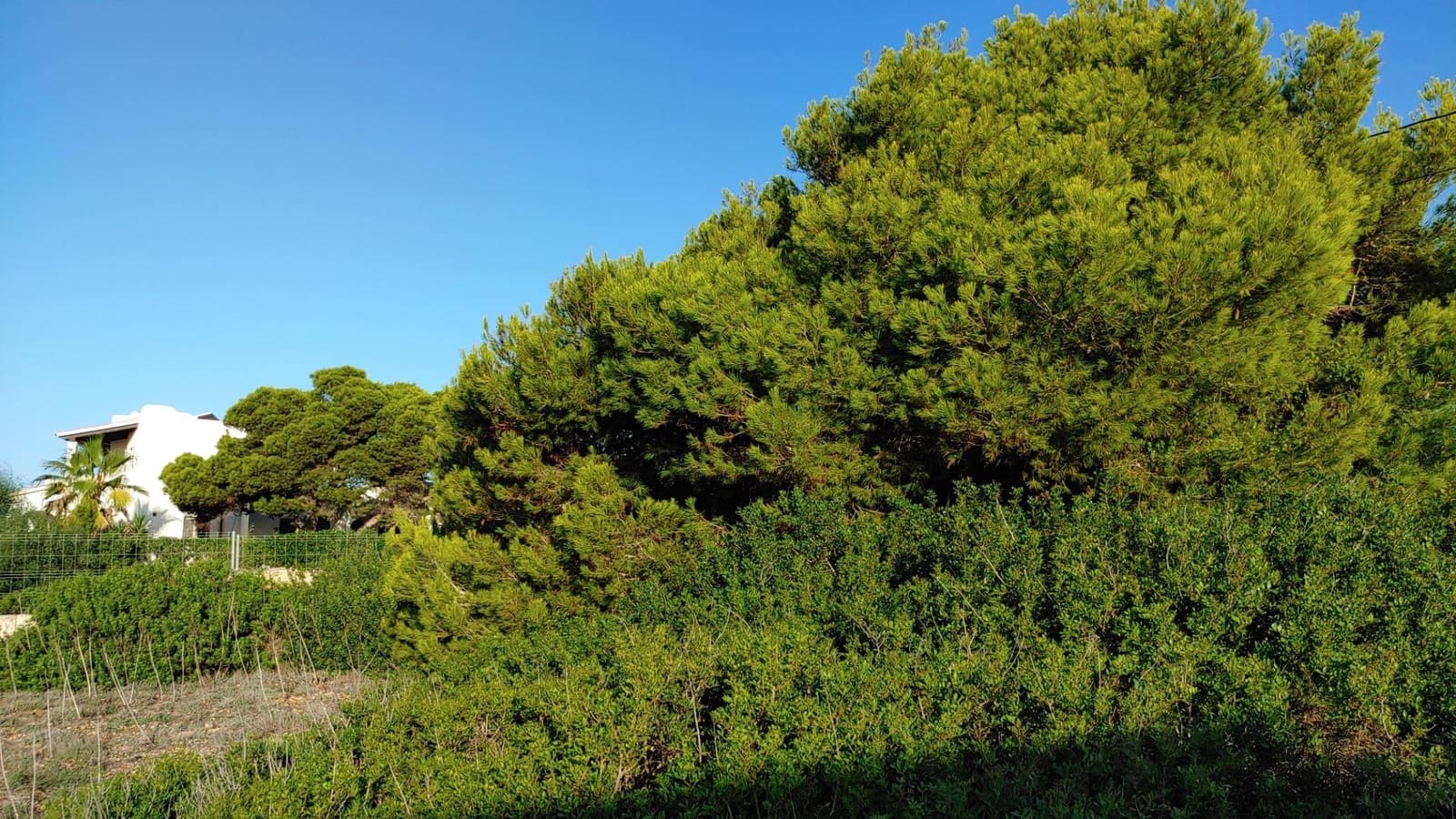 Area Edificabile in vendita in Llucmajor - 1.250.000 € (Rif: 6185350)