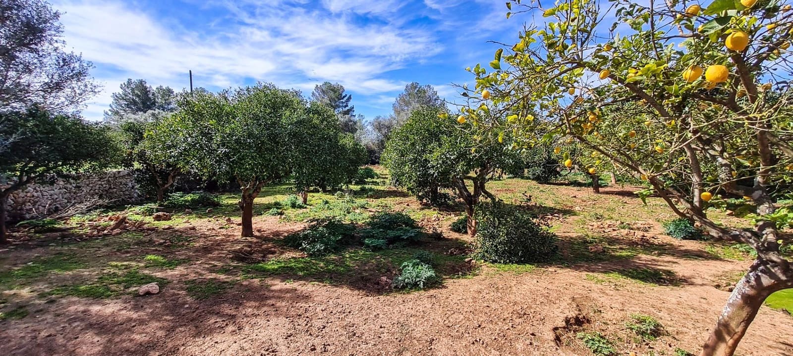 5 bedroom Finca/Country House for sale in Sineu - € 3,150,000 (Ref: 7640894)