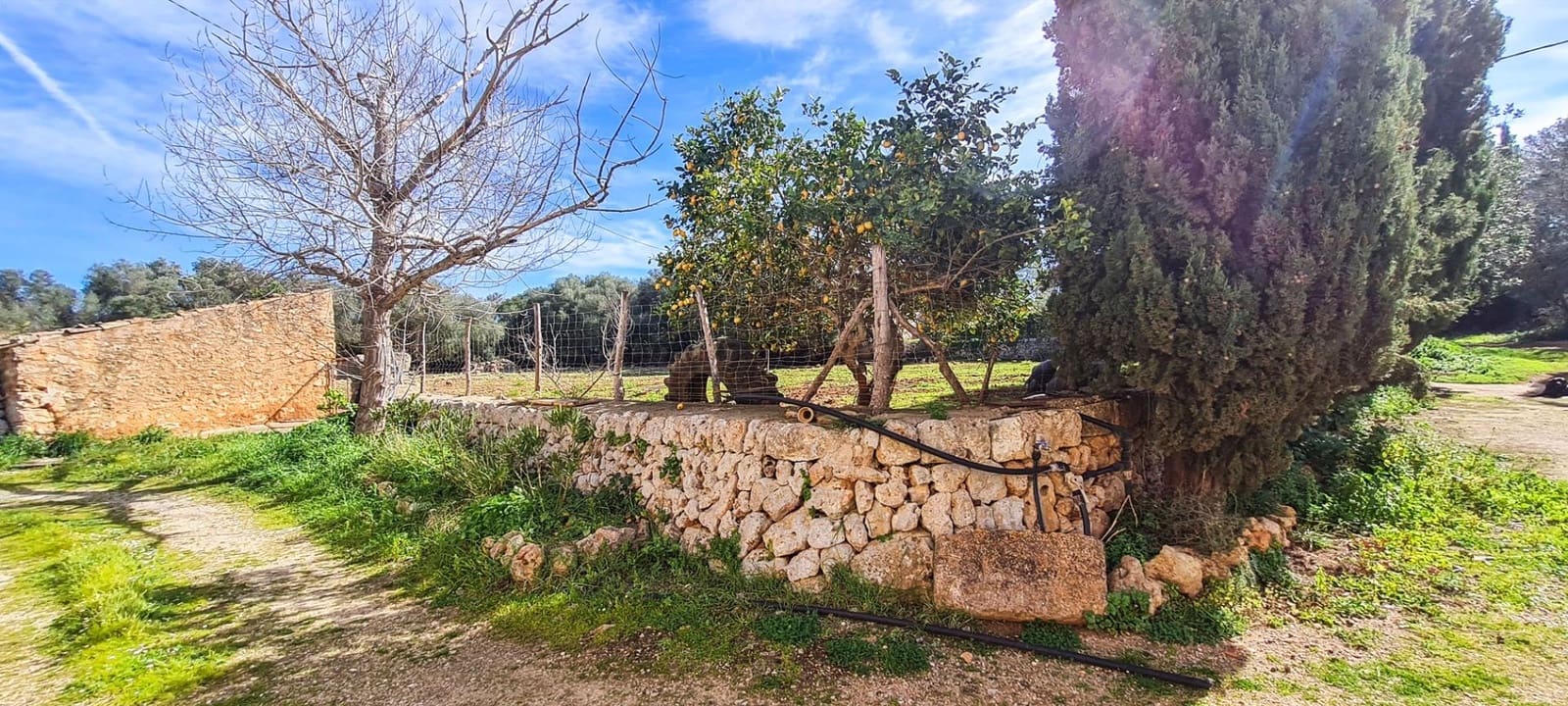 5 bedroom Finca/Country House for sale in Sineu - € 3,150,000 (Ref: 7640894)