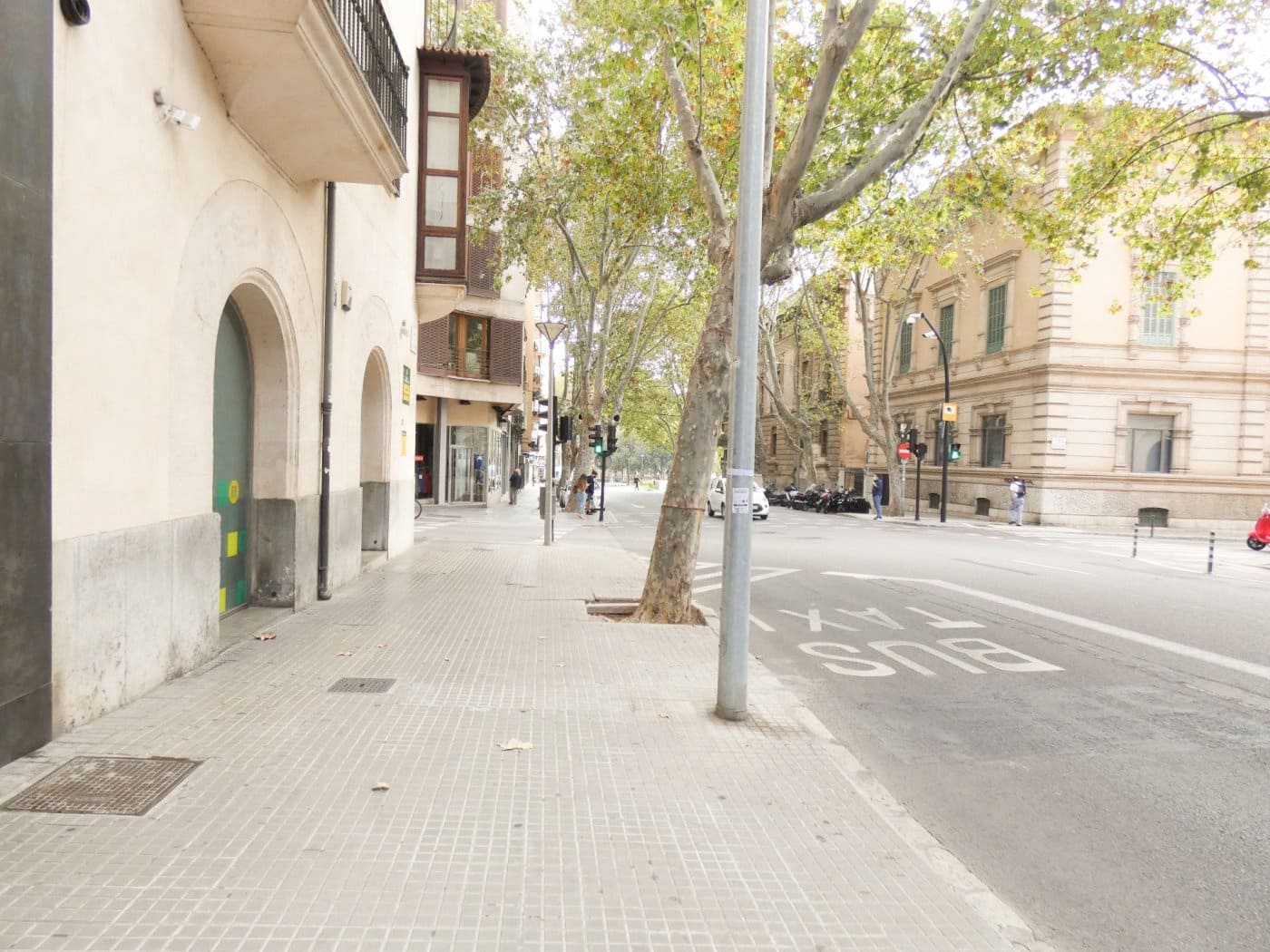 Garage da affittare in Palma de Mallorca - 160 € (Rif: 8038211)