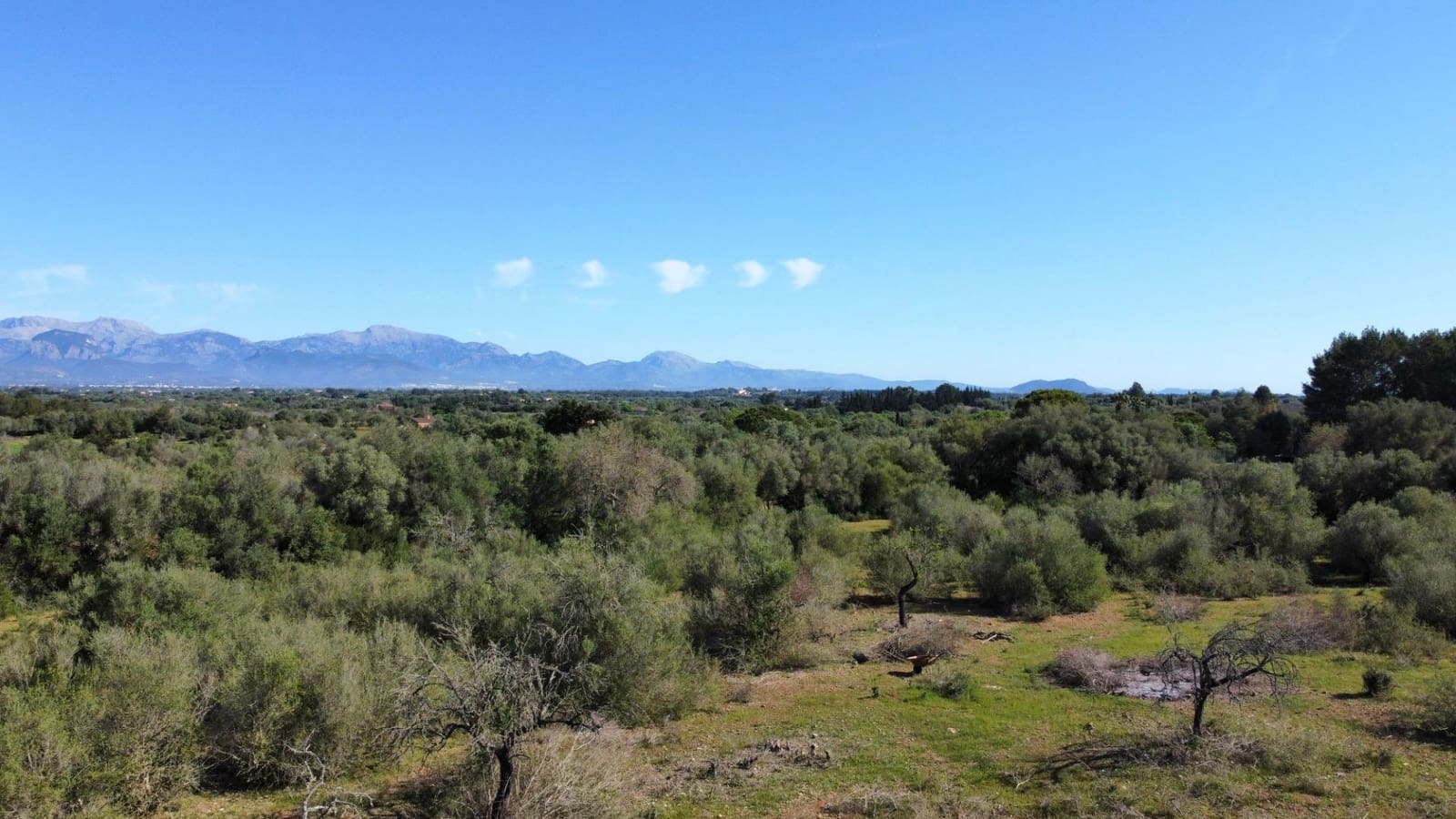 4 quarto Moradia para venda em Sencelles com piscina - 1 997 000 € (Ref: 8188118)