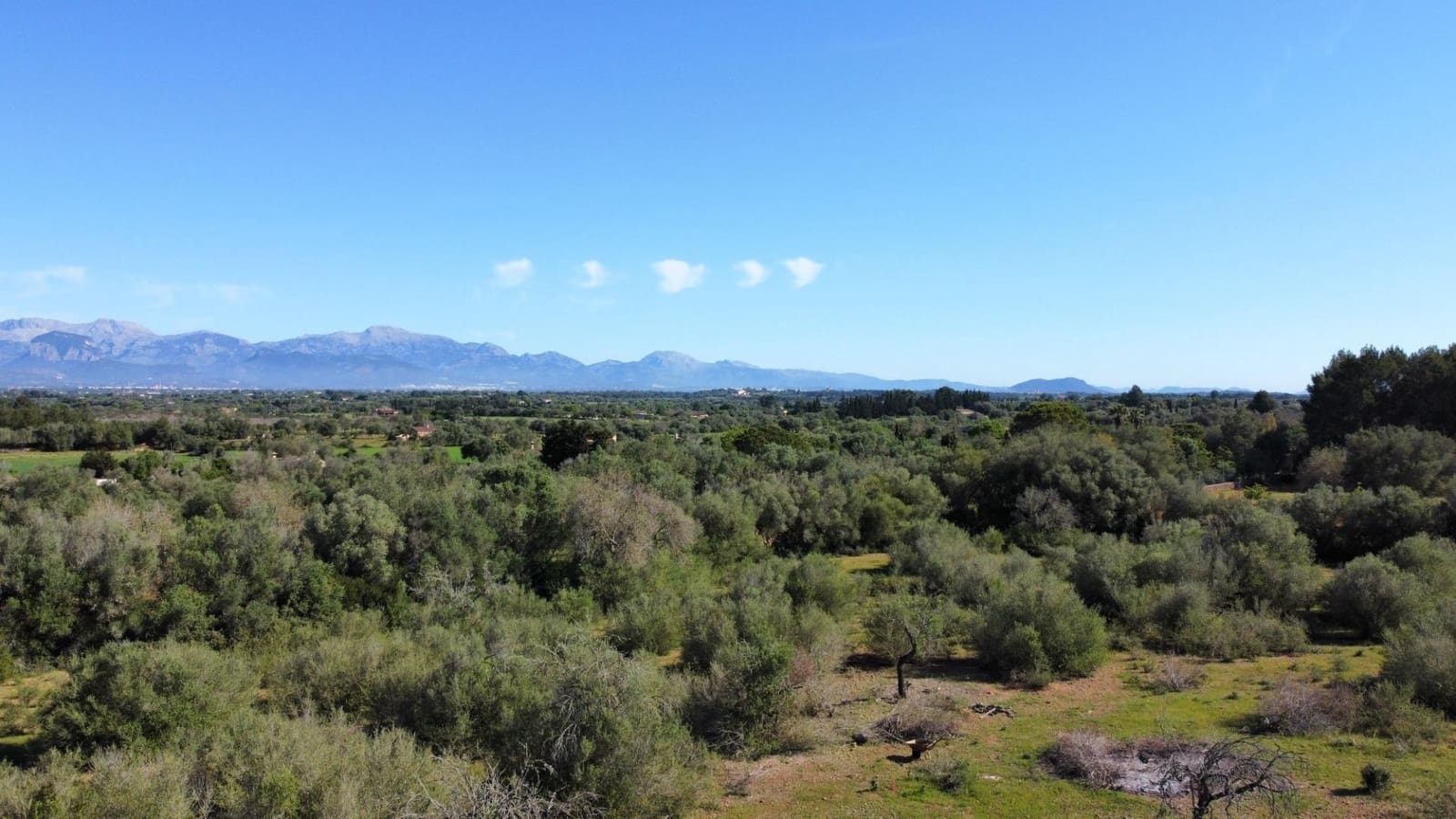 4 quarto Moradia para venda em Sencelles com piscina - 1 997 000 € (Ref: 8188118)