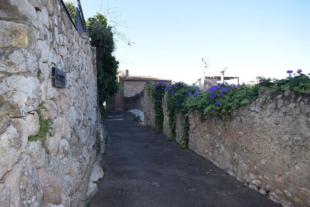 Byggegrund til salg i Bunyola - € 350.000 (Ref: 8363657)