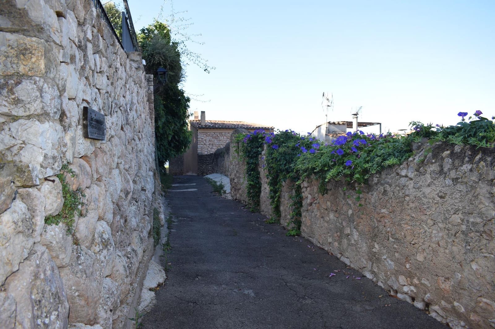 Solar/Parcela en Bunyola en venta - 350.000 € (Ref: 8363657)