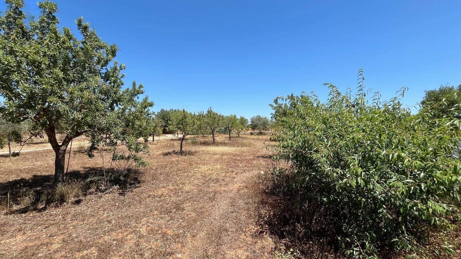 3 sovrum Finca/Hus på landet till salu i Llucmajor med pool garage - 1 300 000 € (Ref: 8377597)