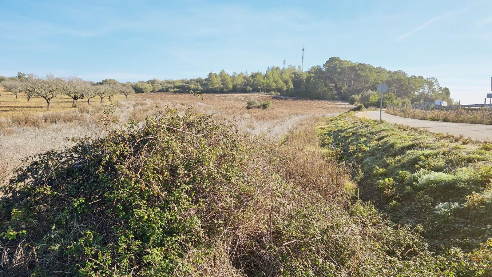 Mark till salu i Sant Joan - 75 000 € (Ref: 8434520)