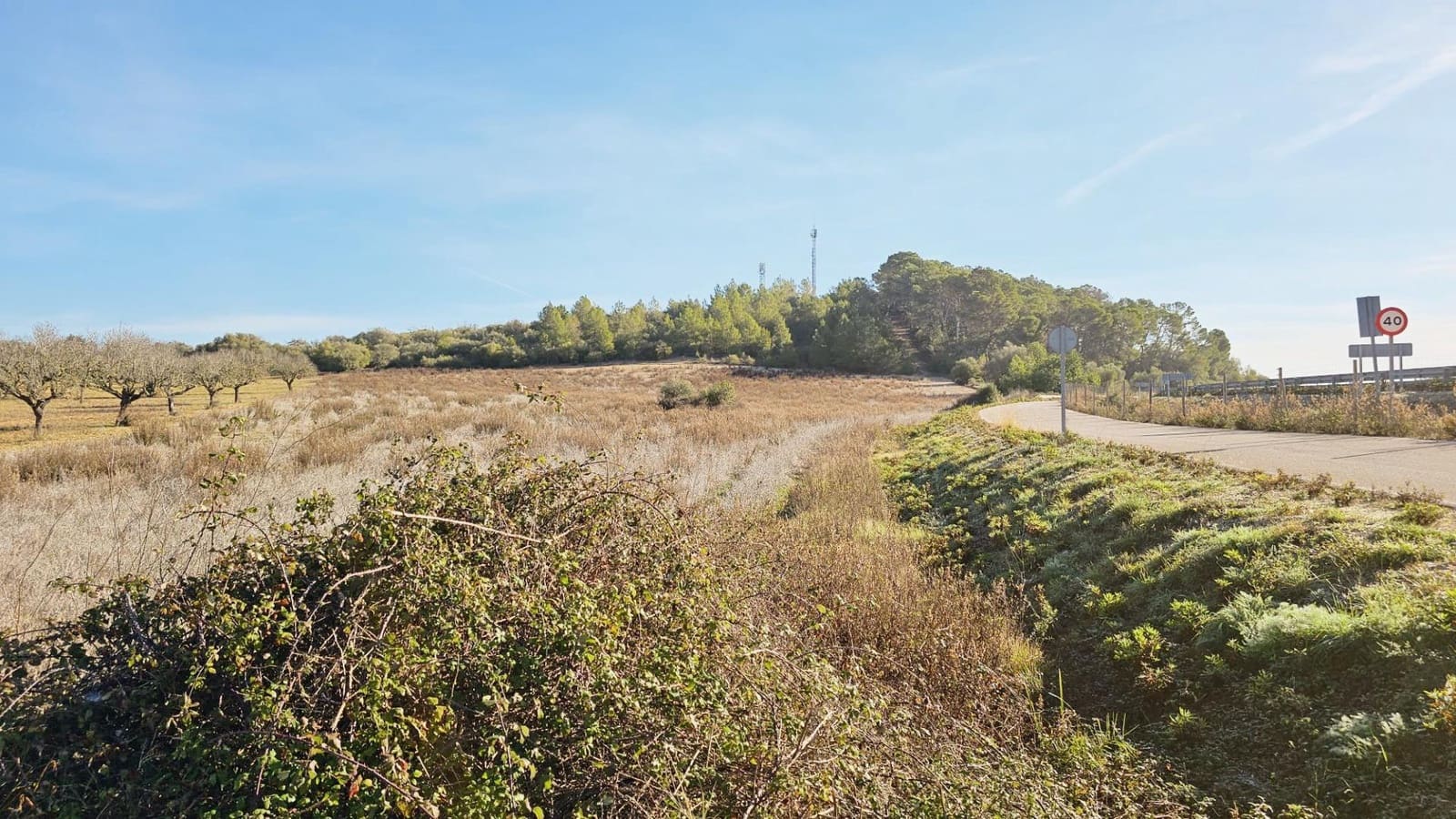 Teren niezagospodarowany na sprzedaż w Sant Joan - 75 000 € (Ref: 8434520)