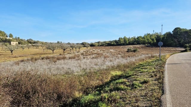 Undeveloped Land for sale in Sant Joan - € 75,000 (Ref: 8434520)