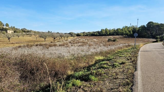 Undeveloped Land for sale in Sant Joan - € 75,000 (Ref: 8434520)