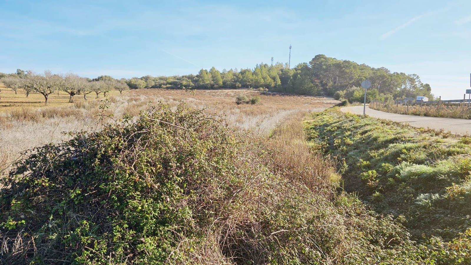 Undeveloped Land for sale in Sant Joan - € 75,000 (Ref: 8434520)
