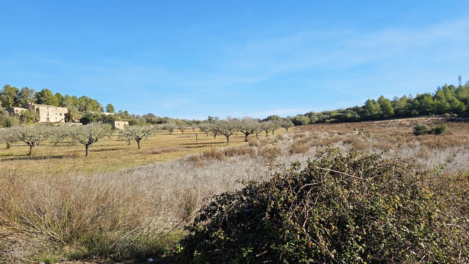 Undeveloped Land for sale in Sant Joan - € 75,000 (Ref: 8434520)