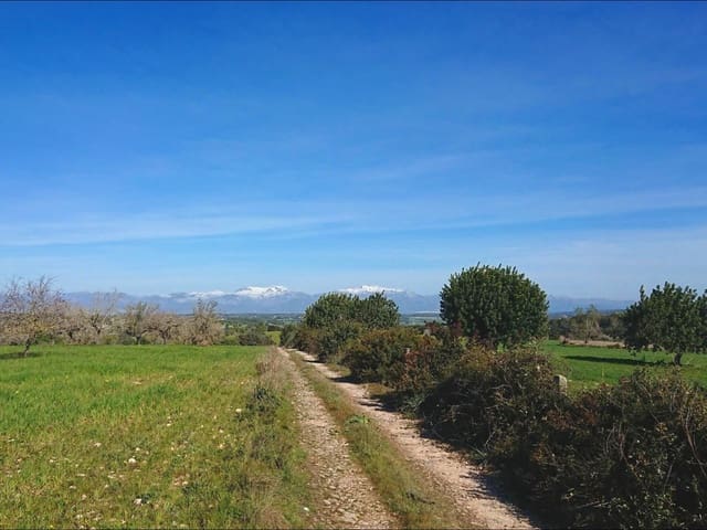 13 slaapkamer Finca/Landhuis te koop in Algaida met zwembad garage - € 4.200.000 (Ref: 8463836)