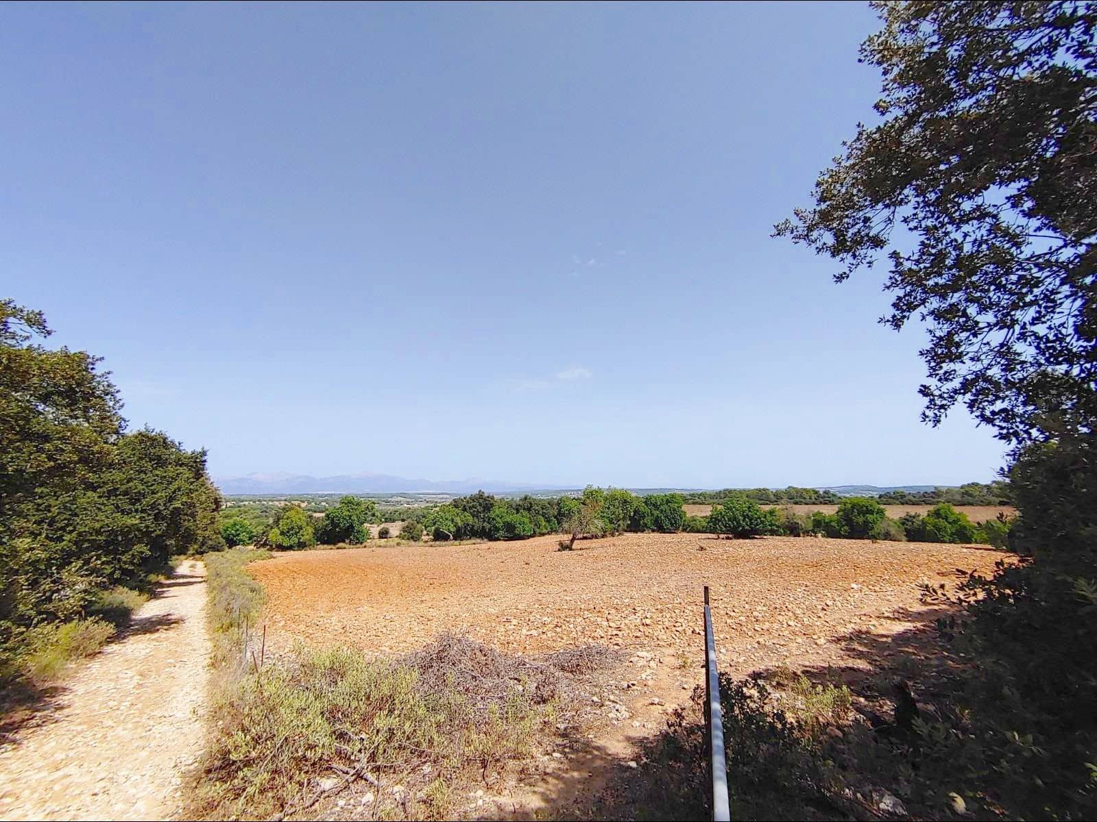 13 quarto Quinta/Casa Rural para venda em Algaida com piscina garagem - 4 200 000 € (Ref: 8463836)