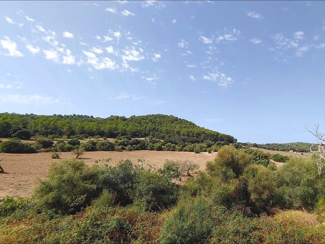 13 slaapkamer Finca/Landhuis te koop in Algaida met zwembad garage - € 4.200.000 (Ref: 8463836)