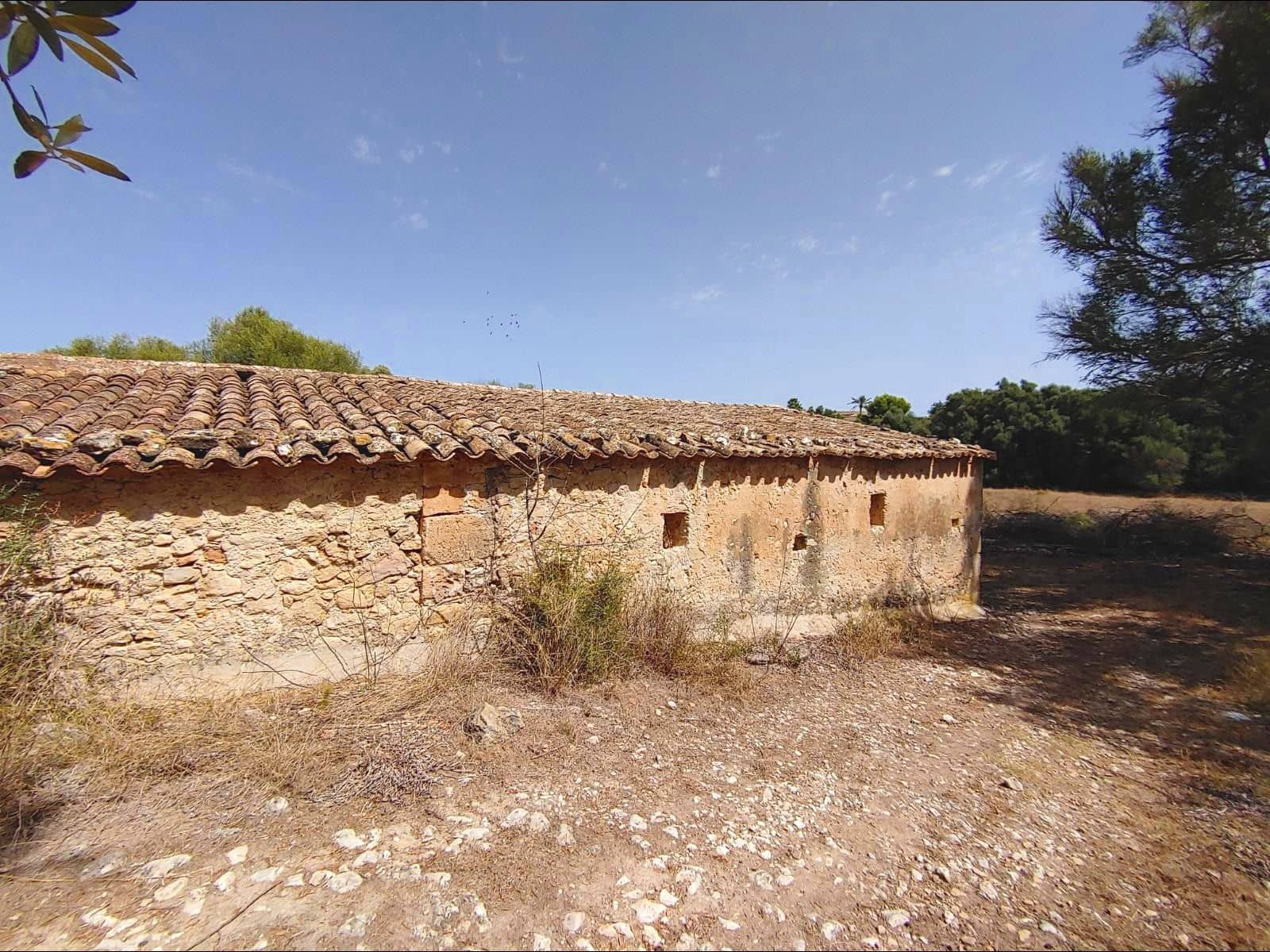 13 quarto Quinta/Casa Rural para venda em Algaida com piscina garagem - 4 200 000 € (Ref: 8463836)