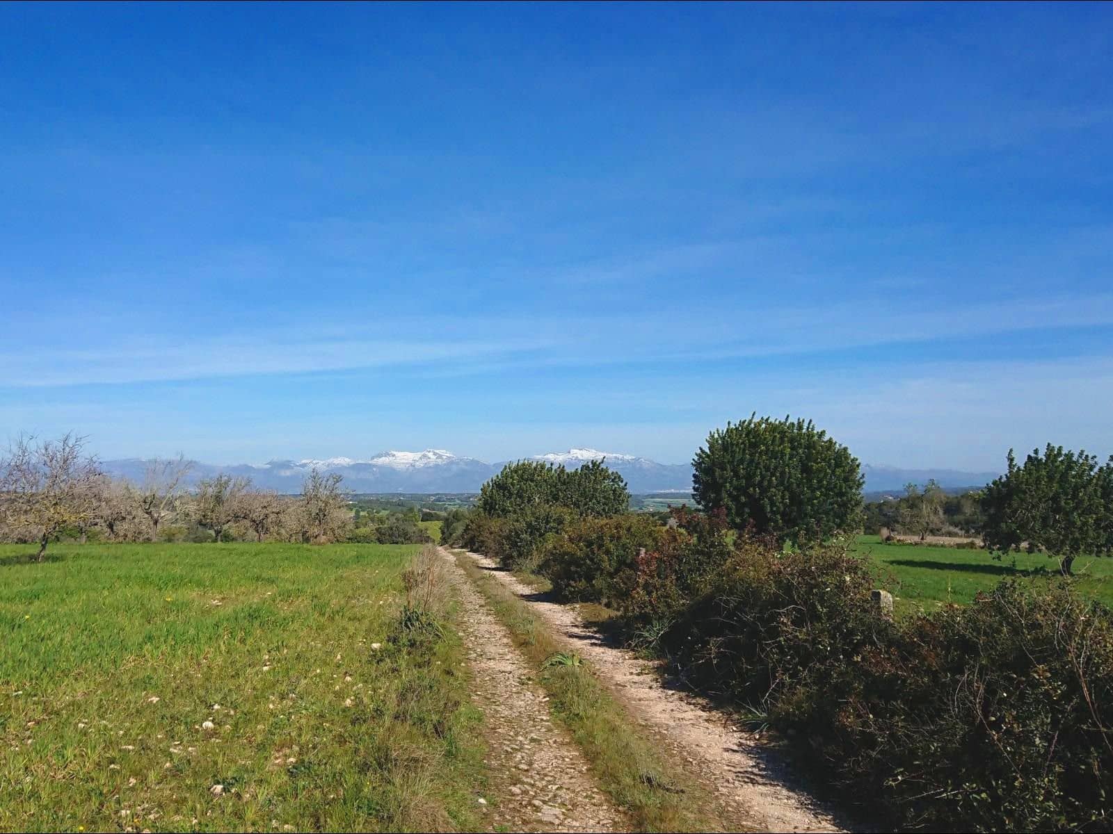 13 camera da letto Finca/Casa di Campagna in vendita in Algaida con piscina garage - 4.200.000 € (Rif: 8463836)