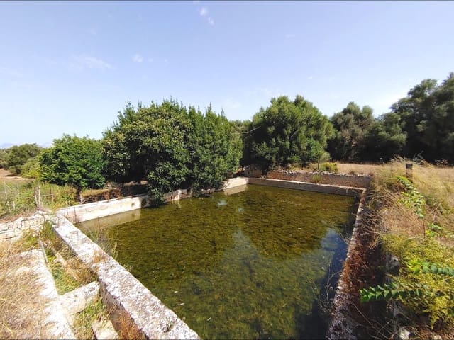 Finca/Casa Rural de 13 habitaciones en Algaida en venta con piscina garaje - 4.200.000 € (Ref: 8463836)