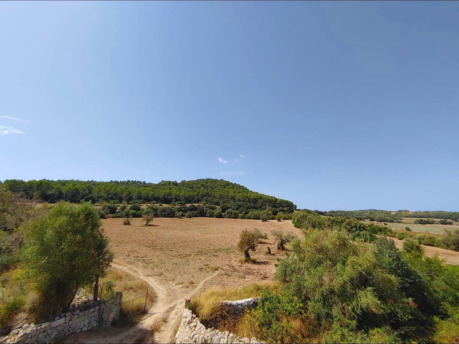 Finca/Casa Rural de 13 habitaciones en Algaida en venta con piscina garaje - 4.200.000 € (Ref: 8463836)
