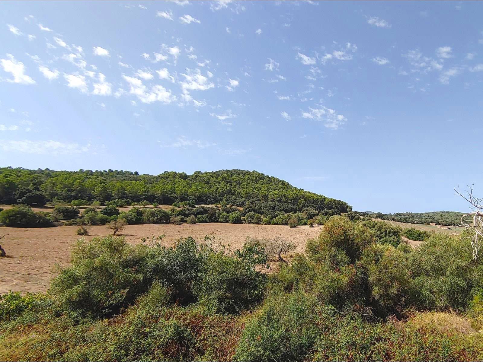 Finca/Casa Rural de 13 habitaciones en Algaida en venta con piscina garaje - 4.200.000 € (Ref: 8463836)