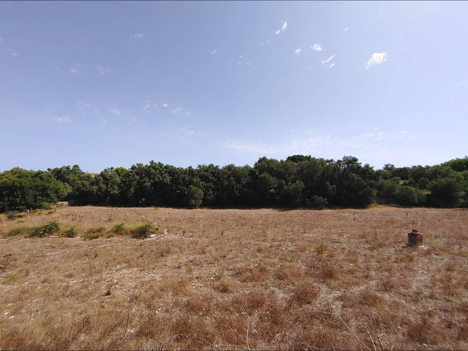 Finca/Casa Rural de 13 habitaciones en Algaida en venta con piscina garaje - 4.200.000 € (Ref: 8463836)