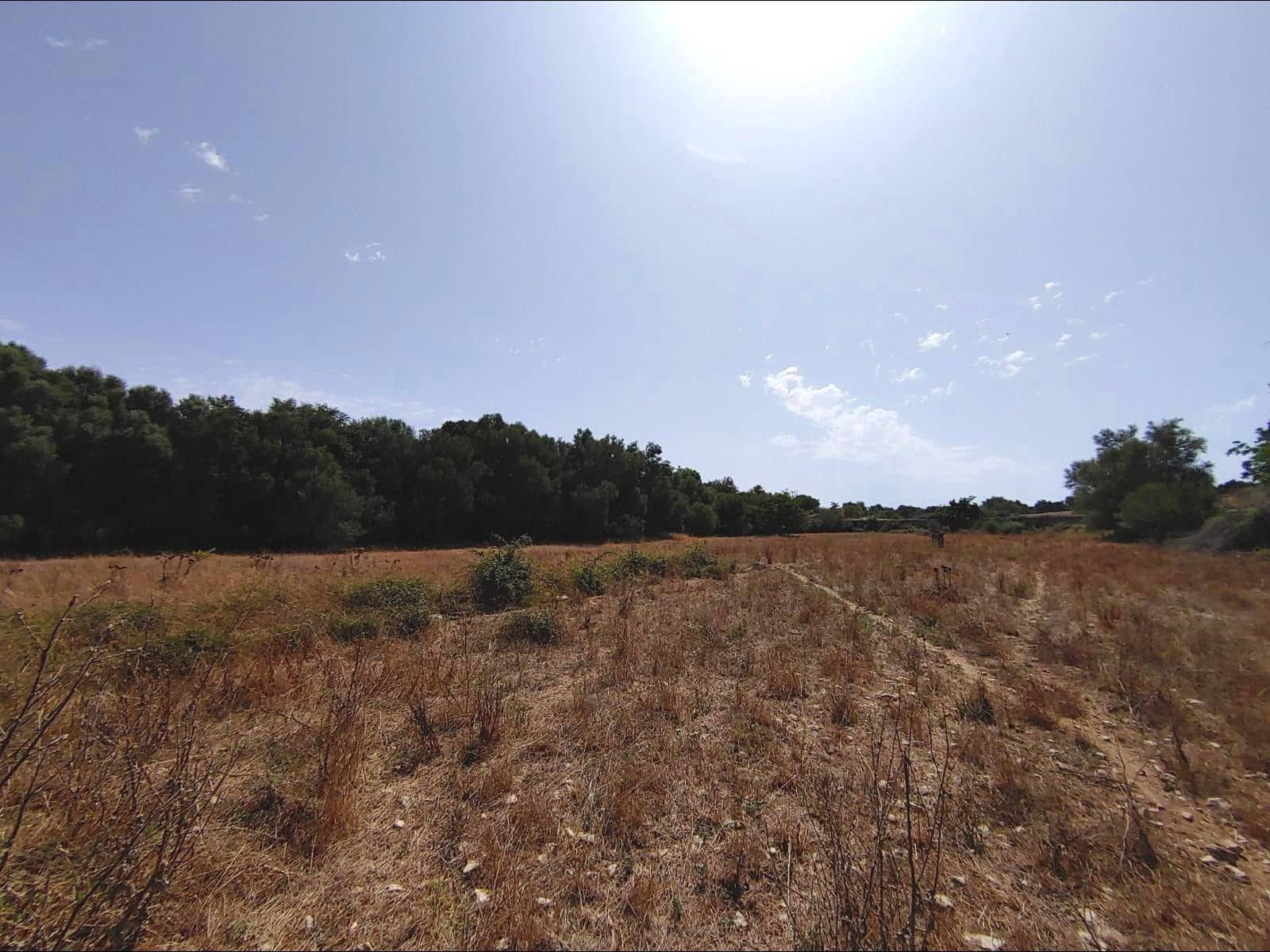 Finca/Casa Rural de 13 habitaciones en Algaida en venta con piscina garaje - 4.200.000 € (Ref: 8463836)