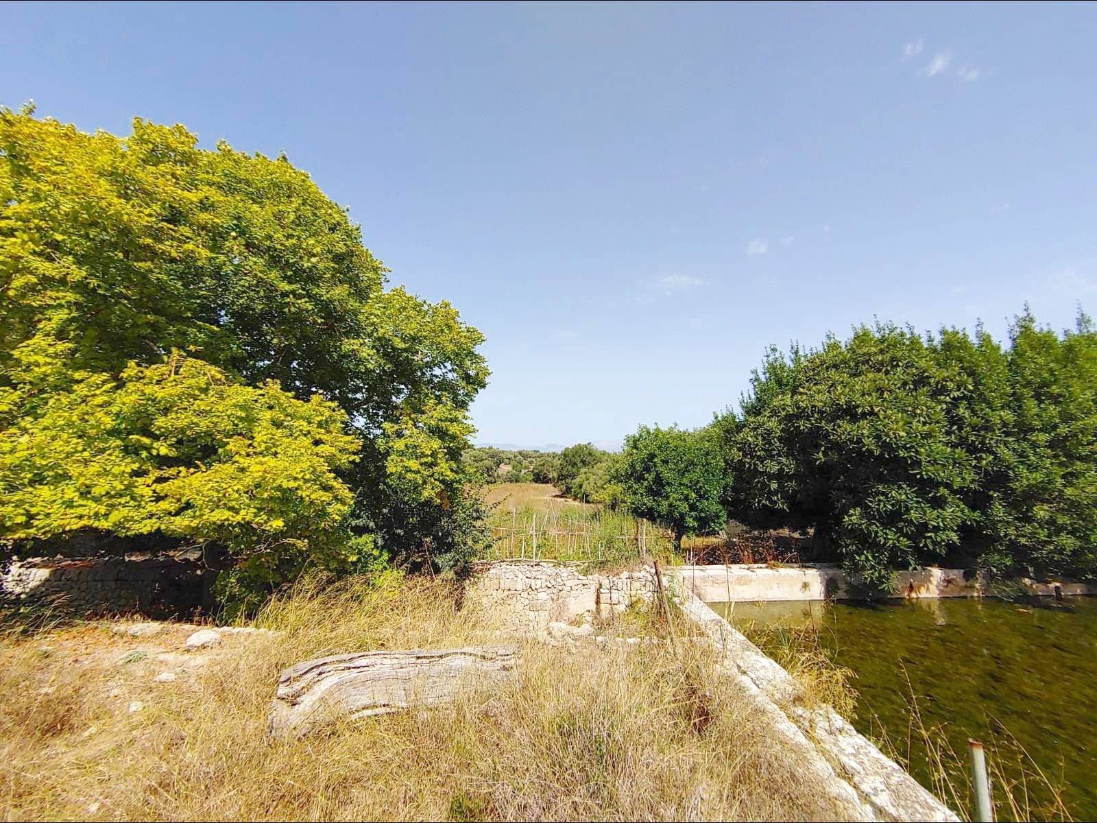 Finca/Casa Rural de 13 habitaciones en Algaida en venta con piscina garaje - 4.200.000 € (Ref: 8463836)