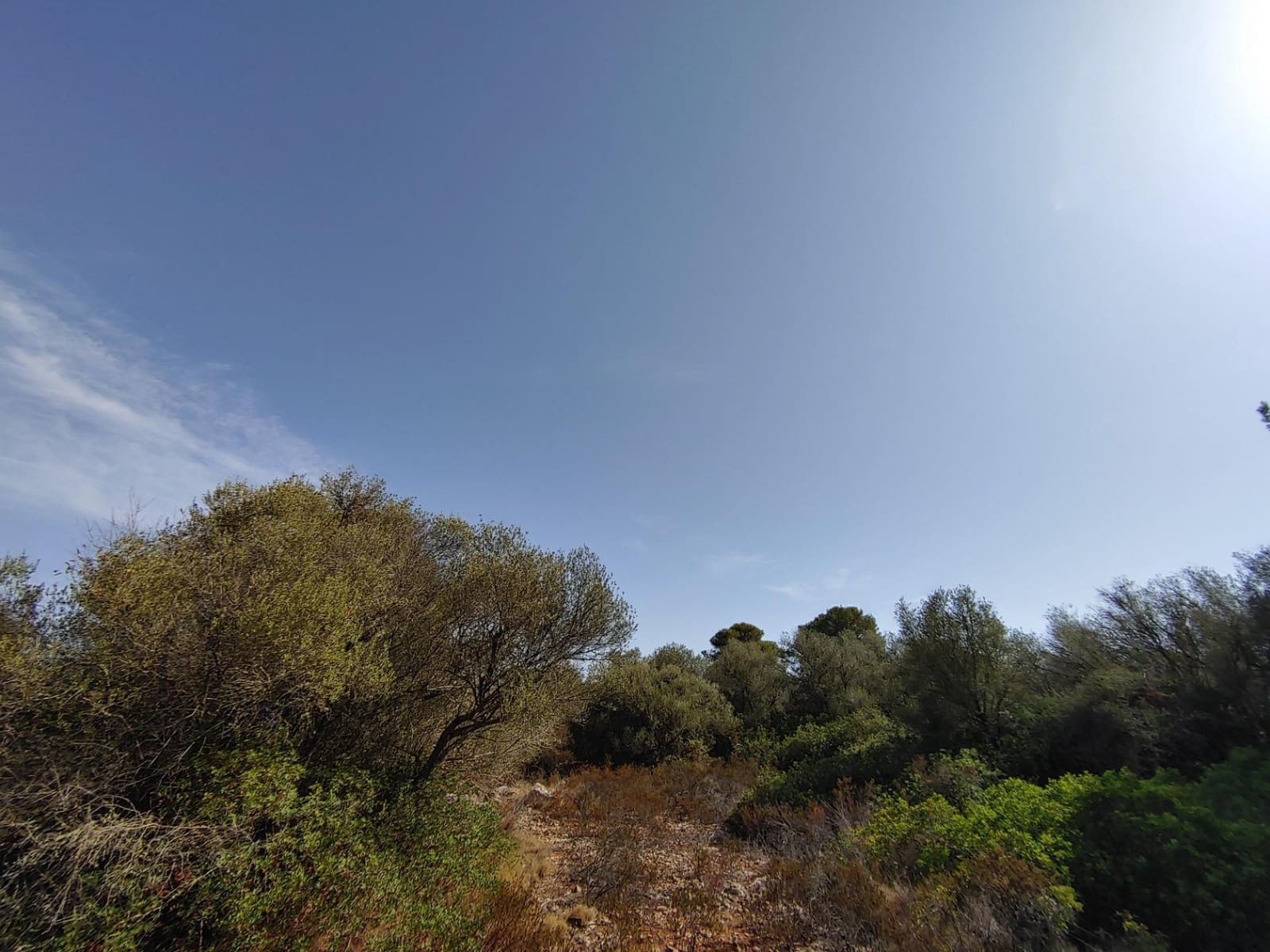 Bouwgrond te koop in Llucmajor - € 980.000 (Ref: 8491095)