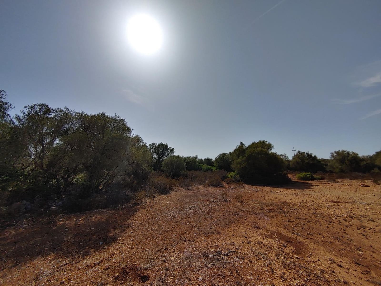 Bouwgrond te koop in Llucmajor - € 980.000 (Ref: 8491095)