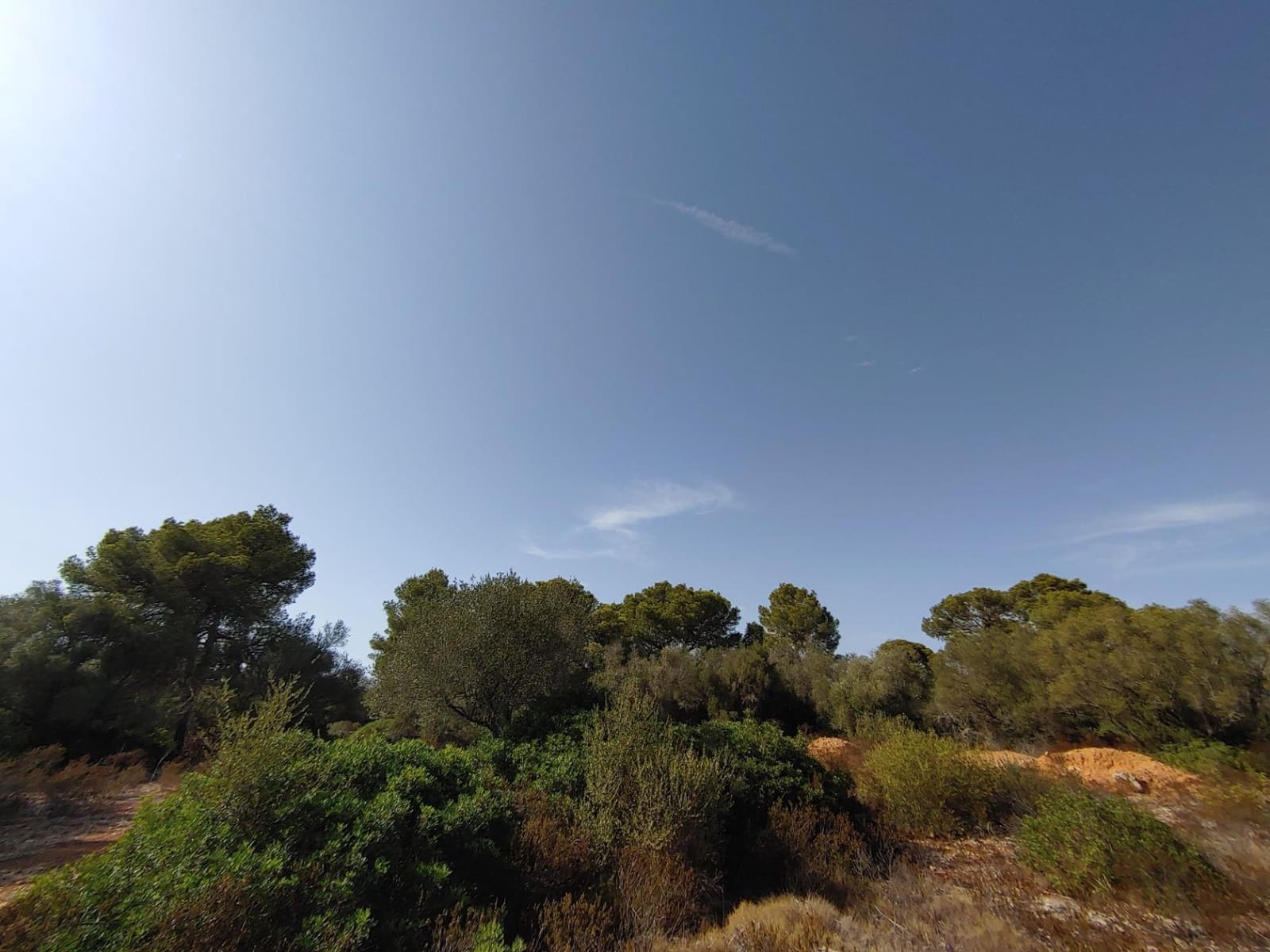 Bouwgrond te koop in Llucmajor - € 980.000 (Ref: 8491095)