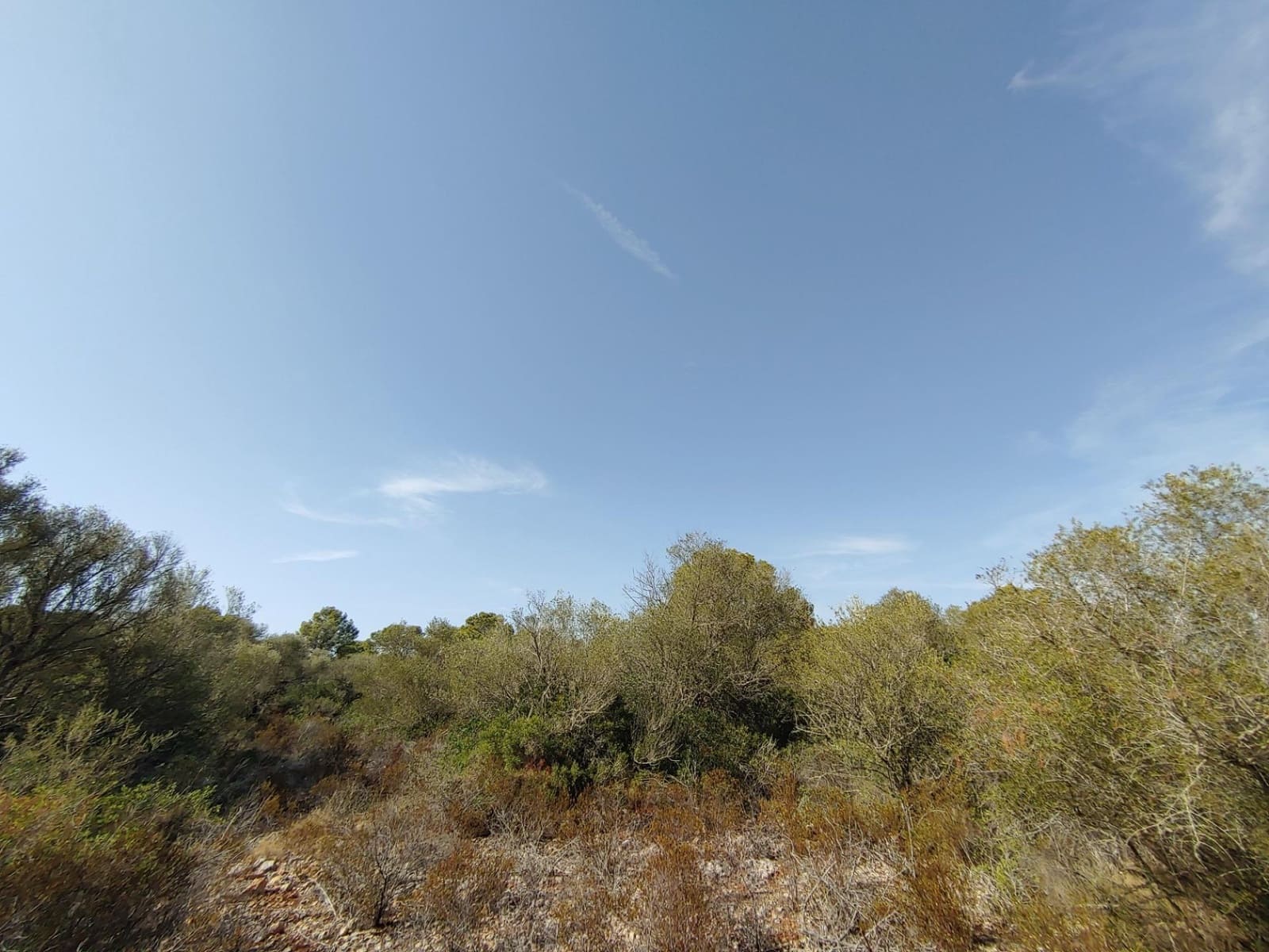 Bouwgrond te koop in Llucmajor - € 980.000 (Ref: 8491095)