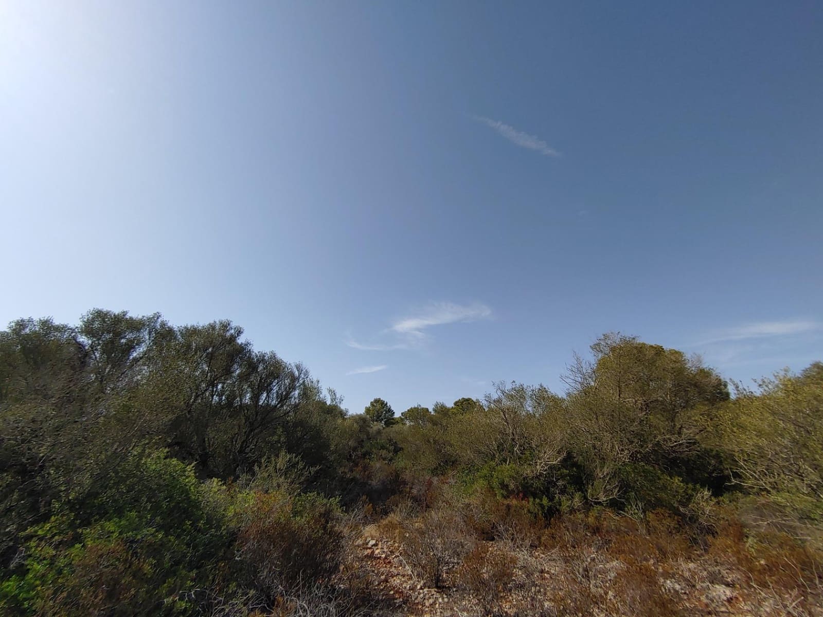 Bouwgrond te koop in Llucmajor - € 980.000 (Ref: 8491095)