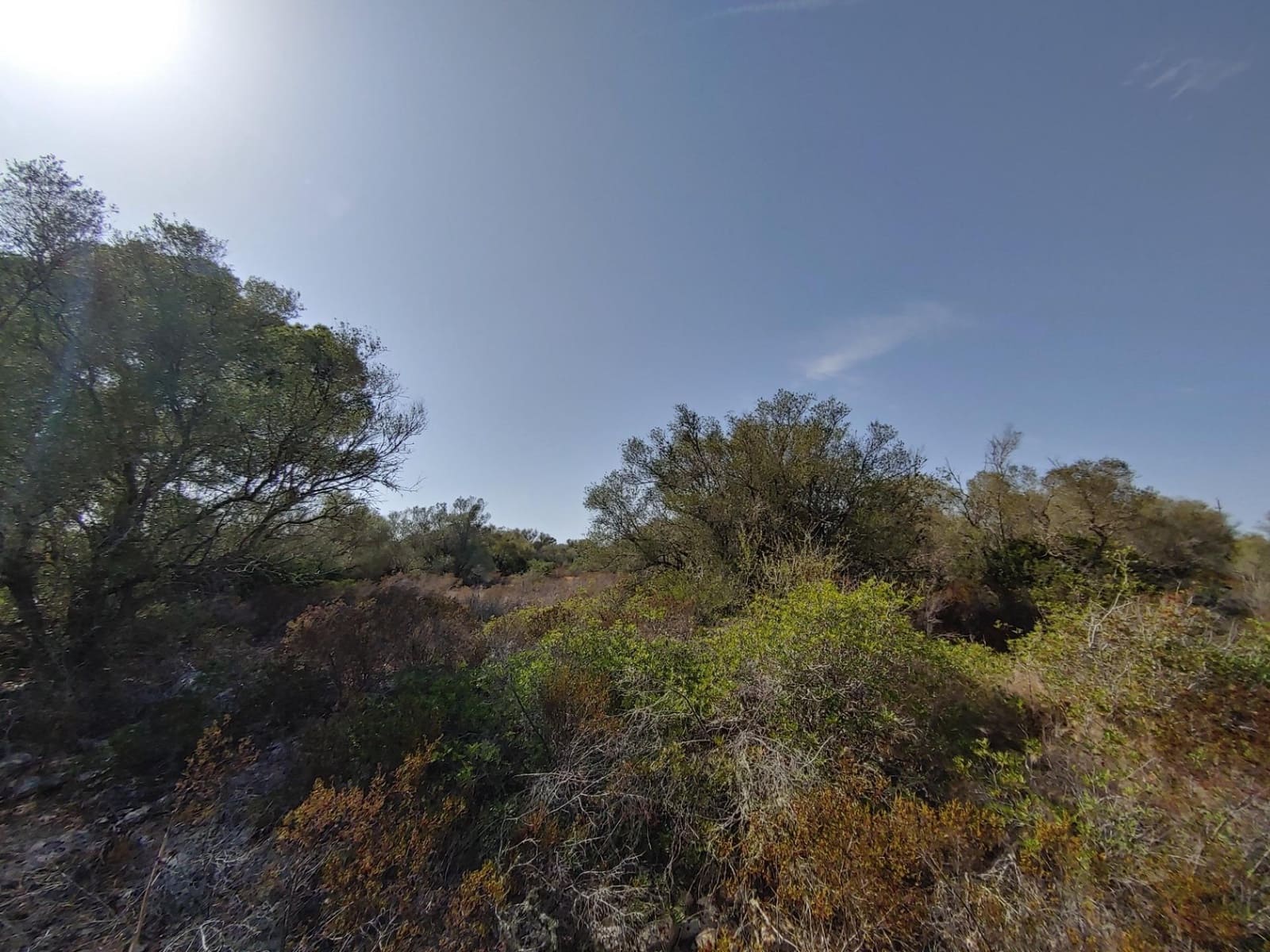 Bouwgrond te koop in Llucmajor - € 980.000 (Ref: 8491095)