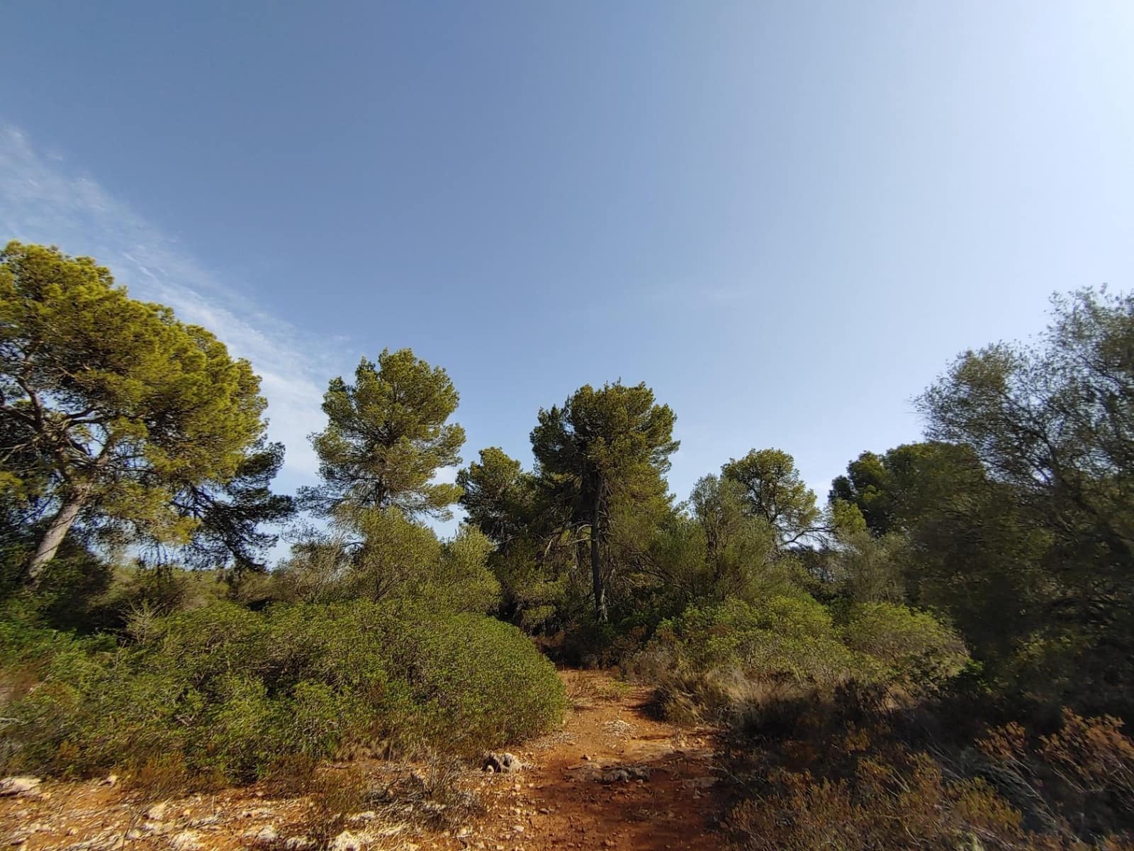 Bouwgrond te koop in Llucmajor - € 980.000 (Ref: 8491095)