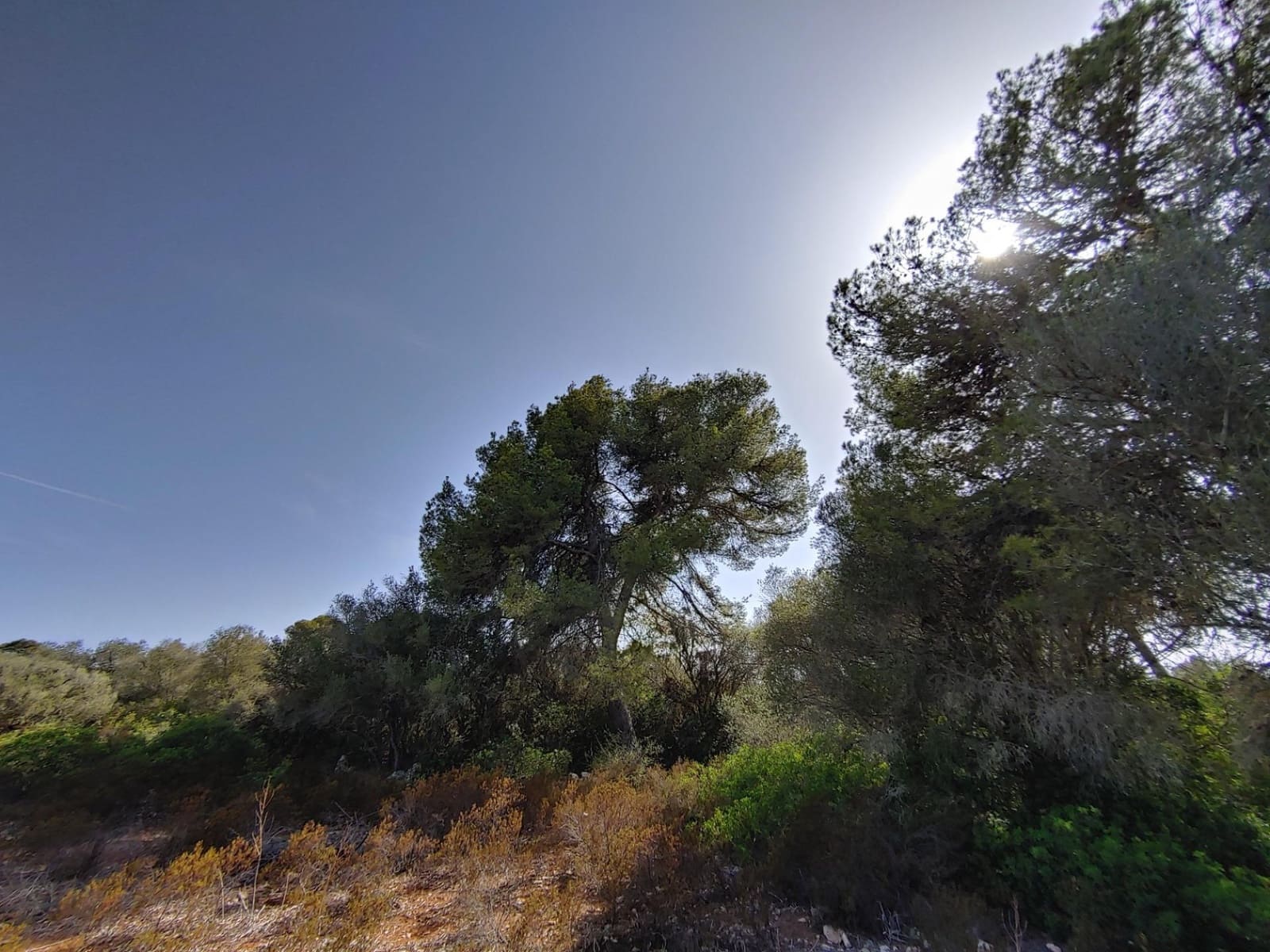 Bouwgrond te koop in Llucmajor - € 980.000 (Ref: 8491095)