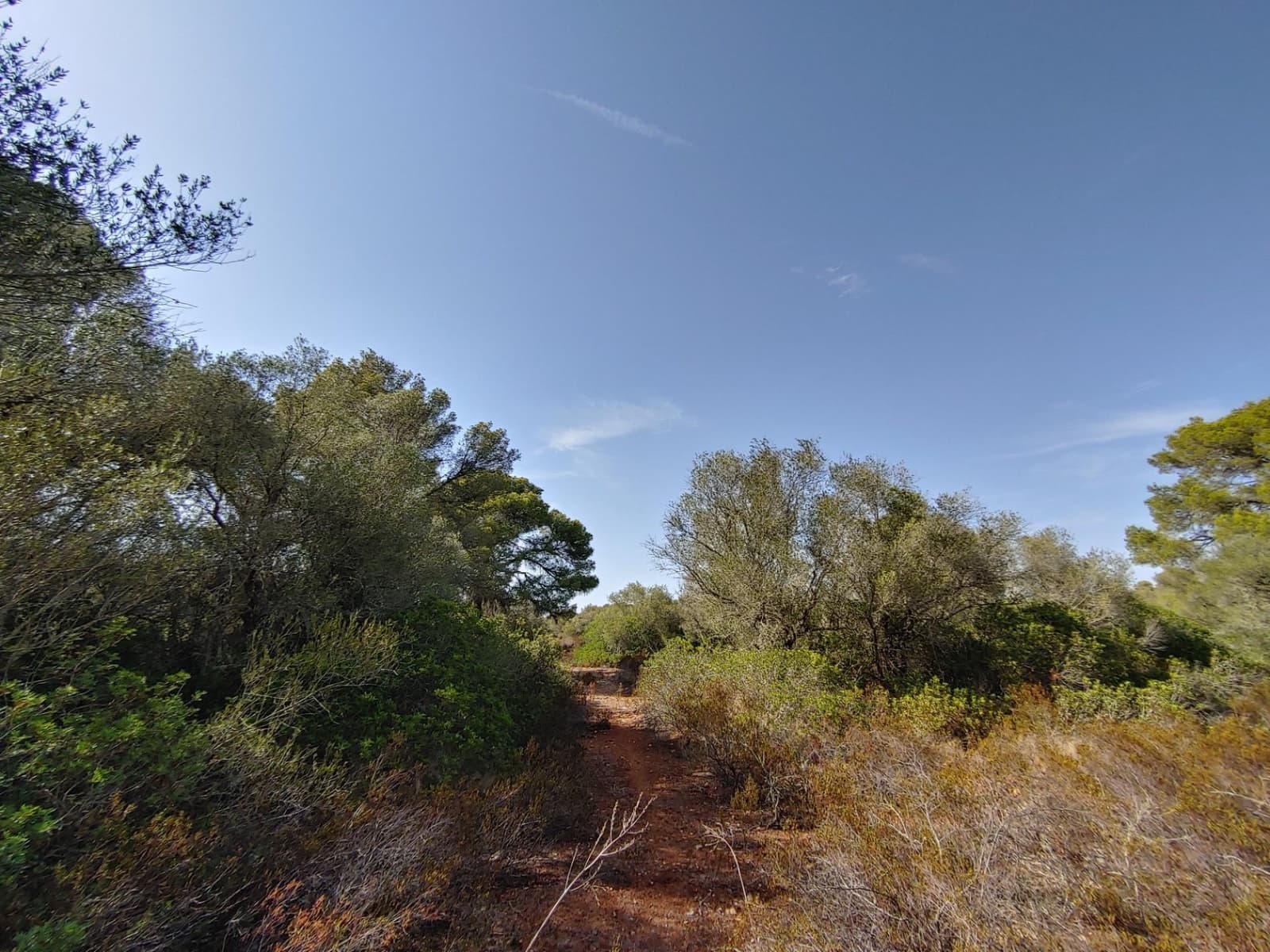 Bouwgrond te koop in Llucmajor - € 980.000 (Ref: 8491095)